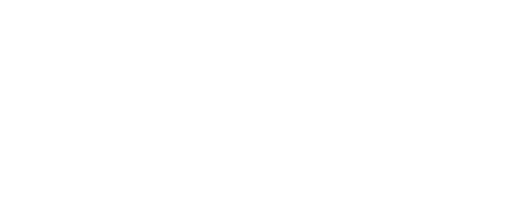 American Airlines AAdvantage logo
